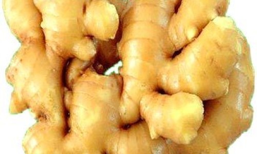 宝宝发烧老出汗好不好网- 宝宝发烧了怎么处理知识,分享宝宝发烧拉肚子怎么办